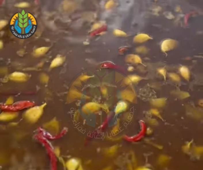مطبخ عطايا الخيري يواصل عمله في ظل الحرب والتجويع