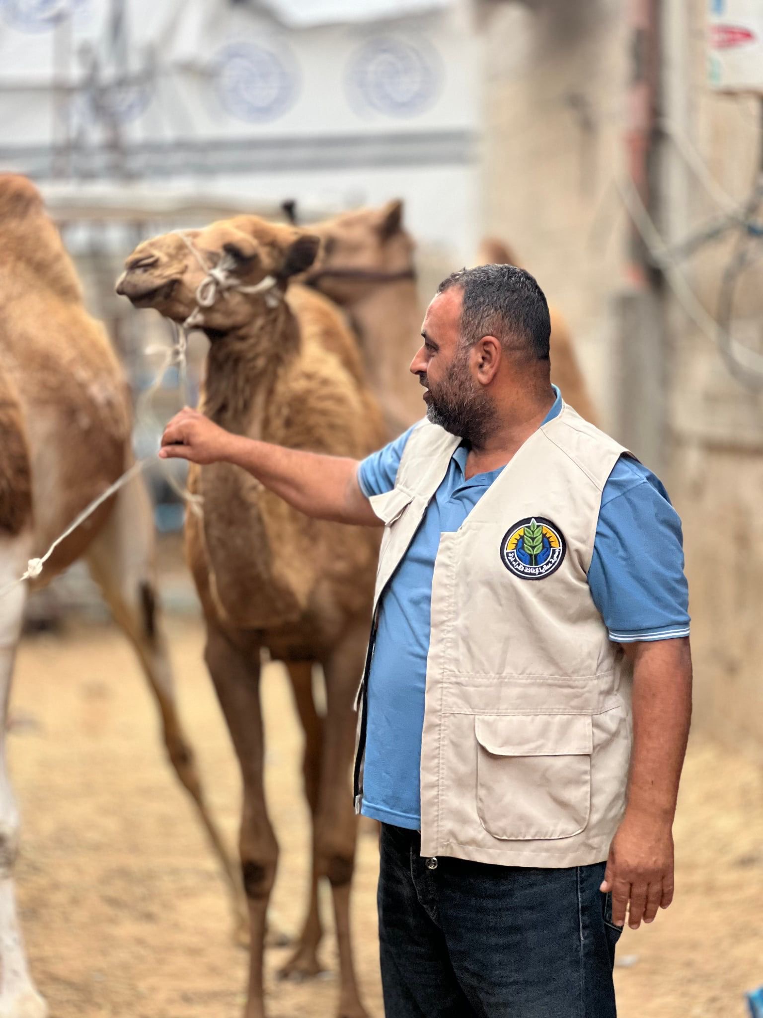 ادخال السرور على أهالي جنوب القطاع في ثالث ايام العيد بتقديم لهم لحوم الأضاحي في ظل الجوع والحصار وغلاء الأسعار
